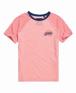 Superdry 54 Goods Raglan Női Pólók Rózsaszín/Fehér/Narancssárga/Korall/Fehér | FKJCO6940